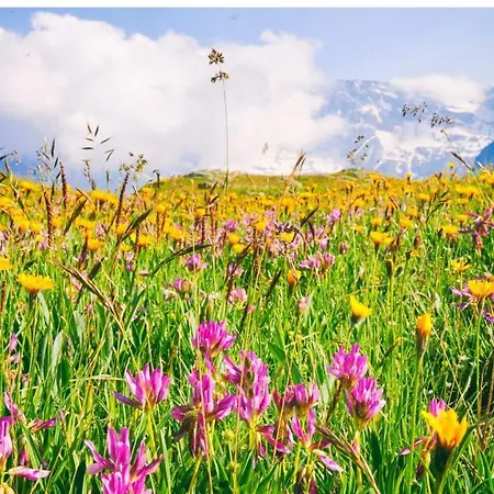 Hermitage 세스트리에